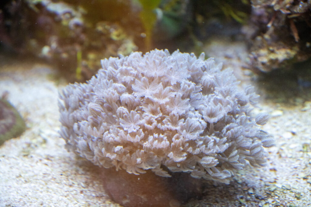 Aquazoo L&ouml;bbecke Museum D&uuml;sseldorf