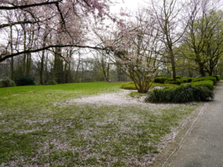 Grugapark Essen