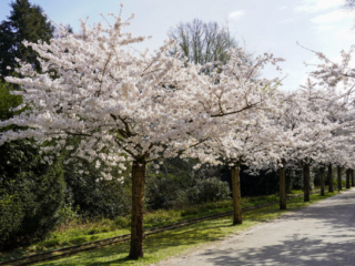 Grugapark Essen