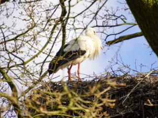 Alwetterzoo Münster Alwetterzoo Münster