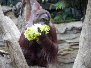 Alwetterzoo Münster Alwetterzoo Münster