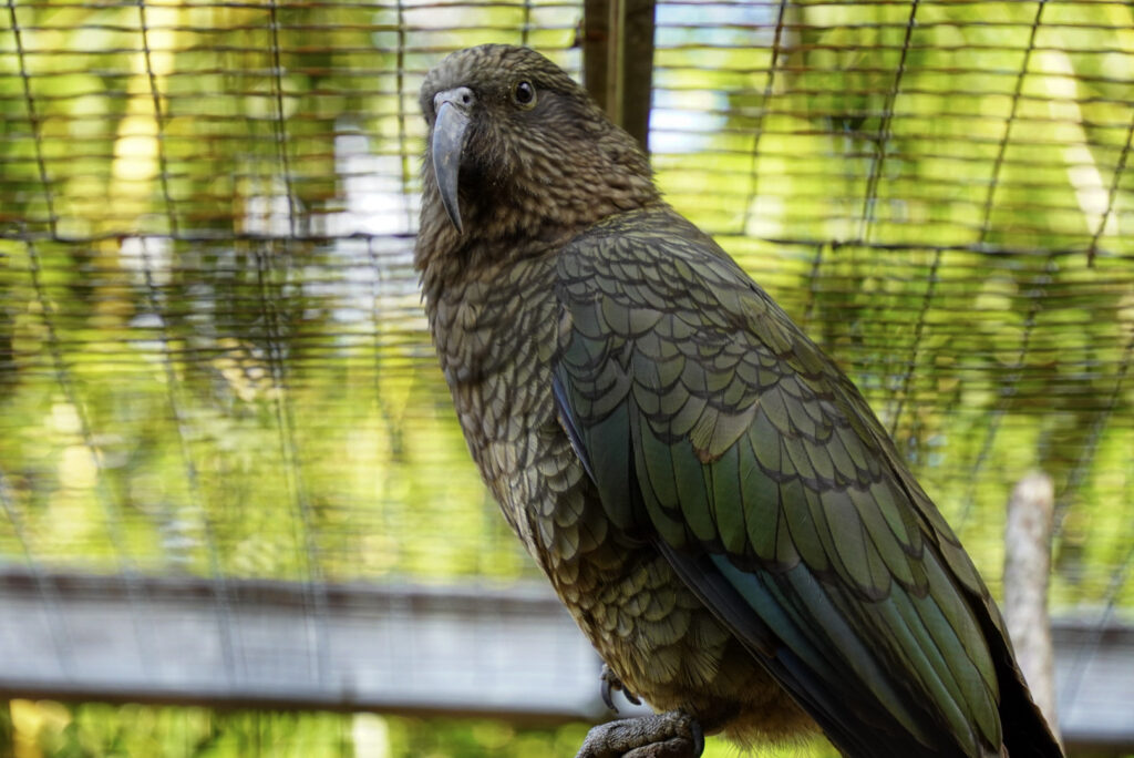 Alwetterzoo Münster Alwetterzoo Münster