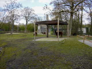 Alwetterzoo Münster Alwetterzoo Münster