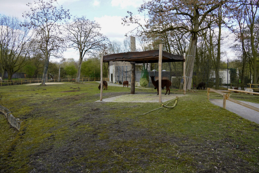 Alwetterzoo Münster Alwetterzoo Münster