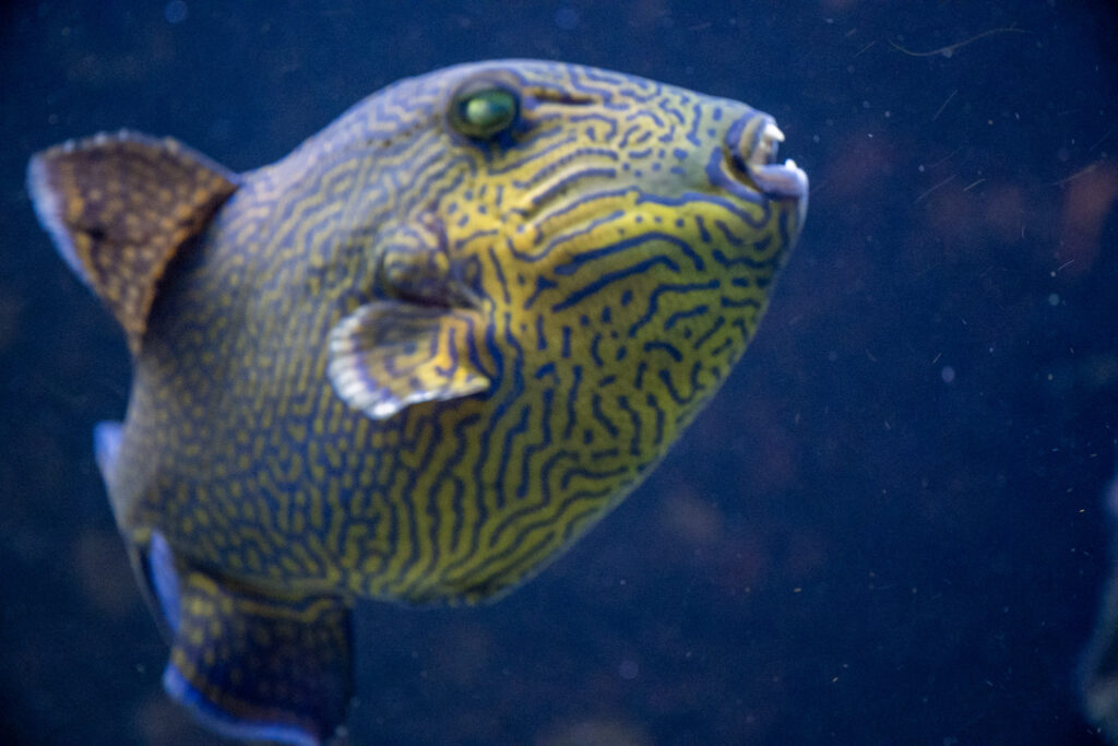 Aquazoo L&ouml;bbecke Museum D&uuml;sseldorf