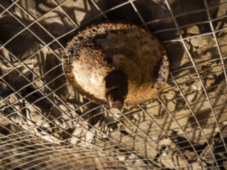 Zeche Nachtigall Zeche Nachtigall