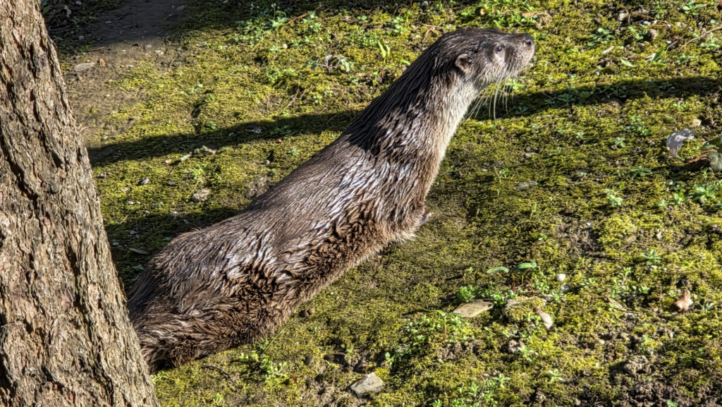 Br&uuml;ckenkopfpark J&uuml;lich