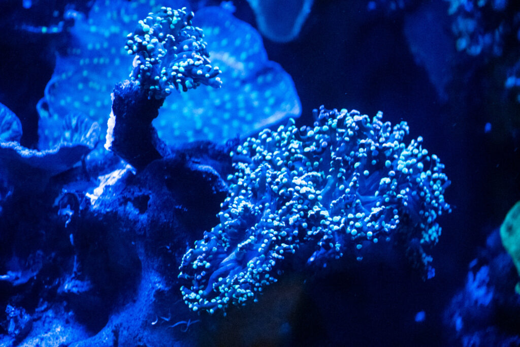 Aquazoo L&ouml;bbecke Museum D&uuml;sseldorf
