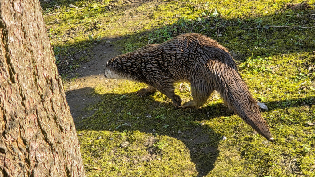 Br&uuml;ckenkopfpark J&uuml;lich