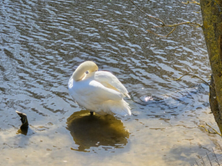 Br&uuml;ckenkopfpark J&uuml;lich