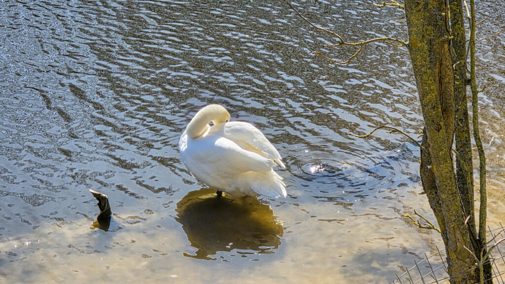 Br&uuml;ckenkopfpark J&uuml;lich