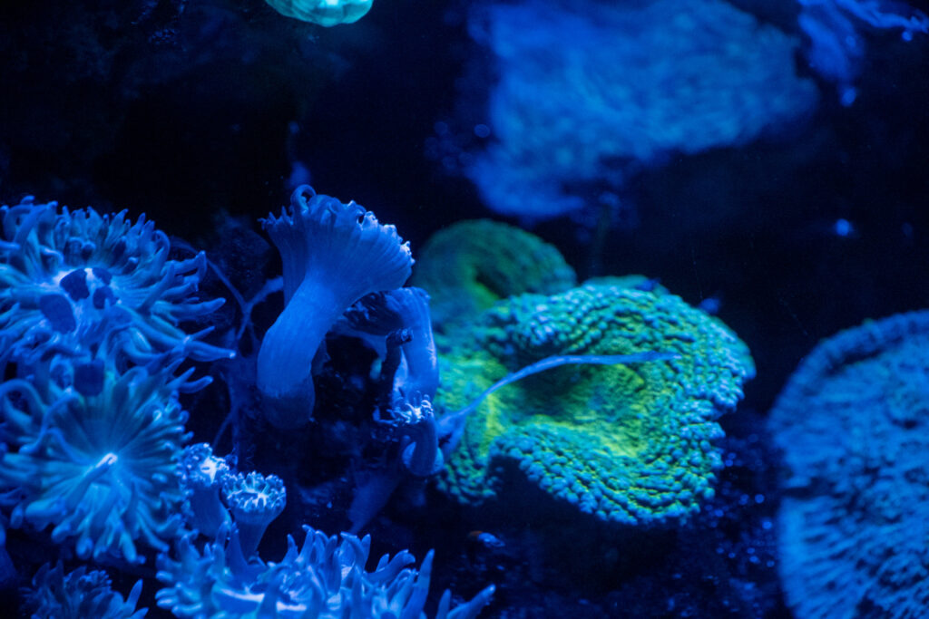 Aquazoo L&ouml;bbecke Museum D&uuml;sseldorf