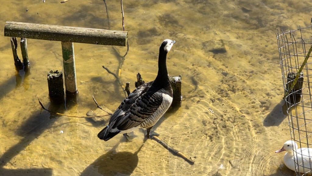 Br&uuml;ckenkopfpark J&uuml;lich