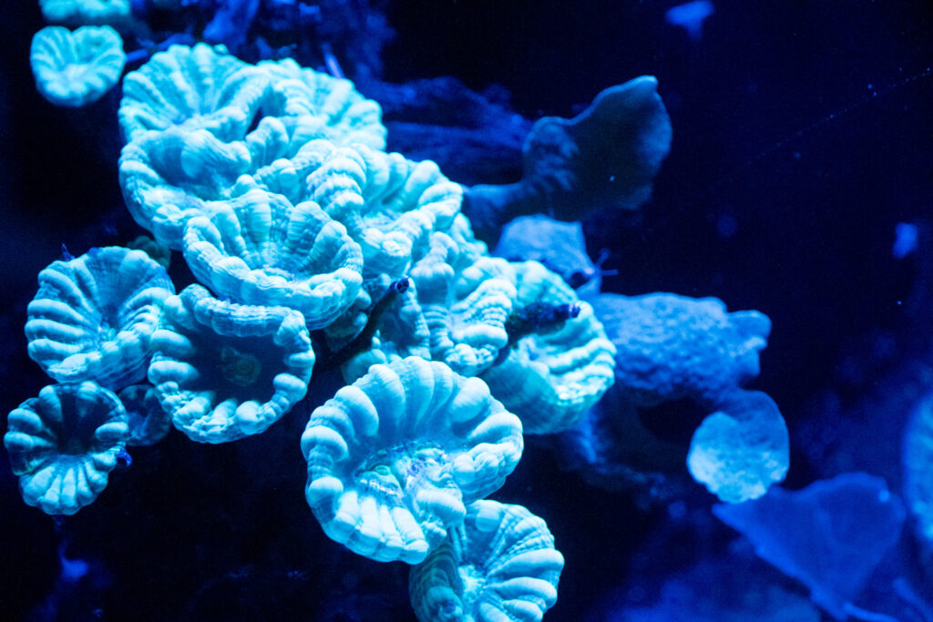 Aquazoo L&ouml;bbecke Museum D&uuml;sseldorf