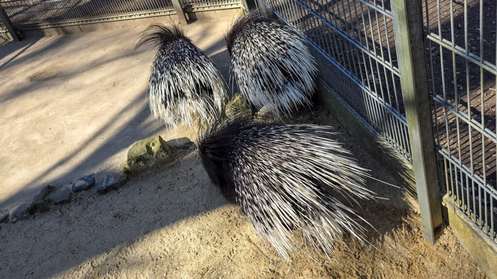 Br&uuml;ckenkopfpark J&uuml;lich
