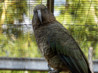 Alwetterzoo Münster Alwetterzoo Münster