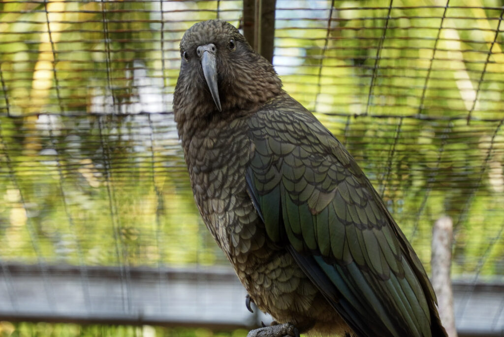 Alwetterzoo Münster Alwetterzoo Münster