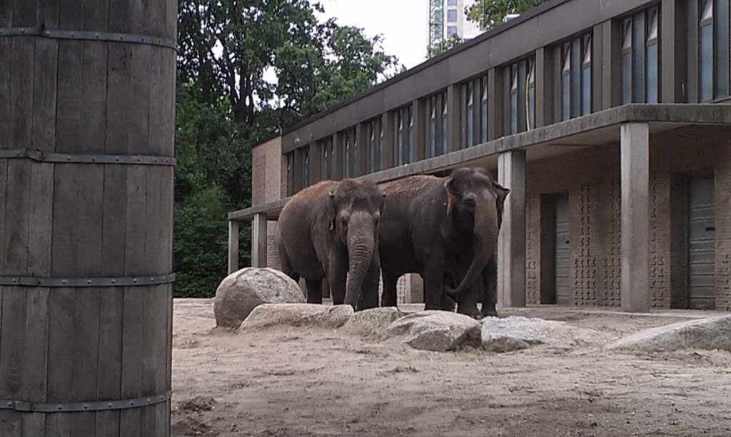 Berliner Zoo