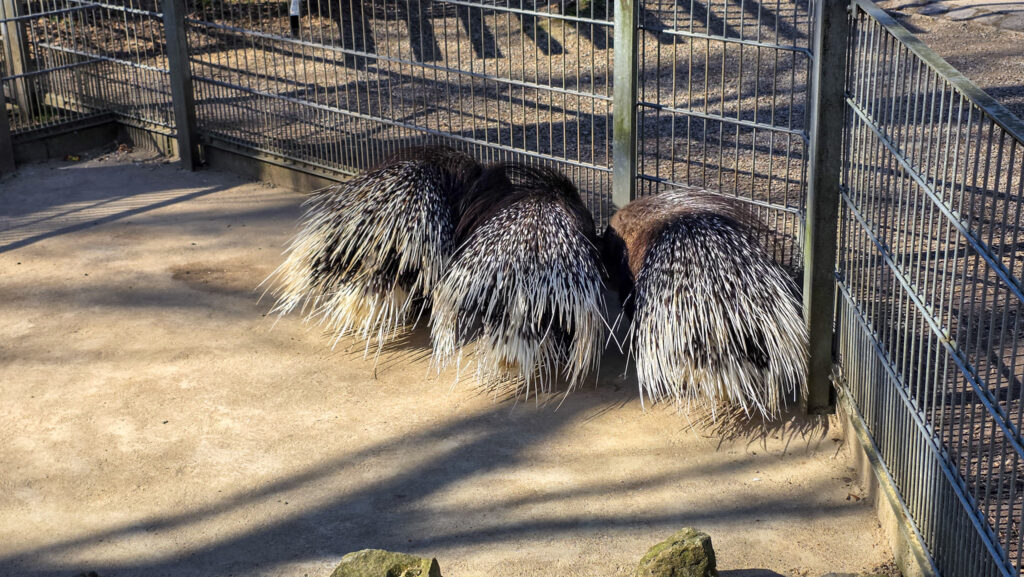 Br&uuml;ckenkopfpark J&uuml;lich