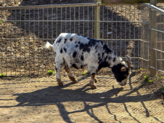 Br&uuml;ckenkopfpark J&uuml;lich