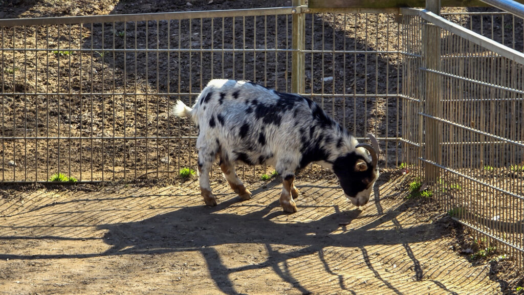 Br&uuml;ckenkopfpark J&uuml;lich