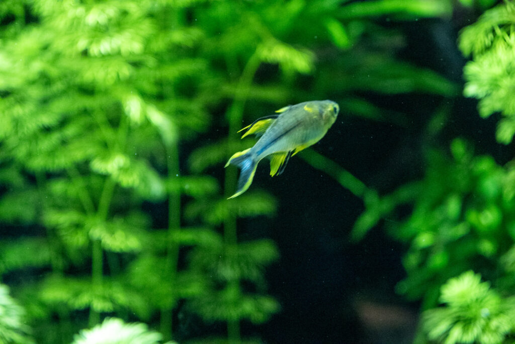 Aquazoo L&ouml;bbecke Museum D&uuml;sseldorf