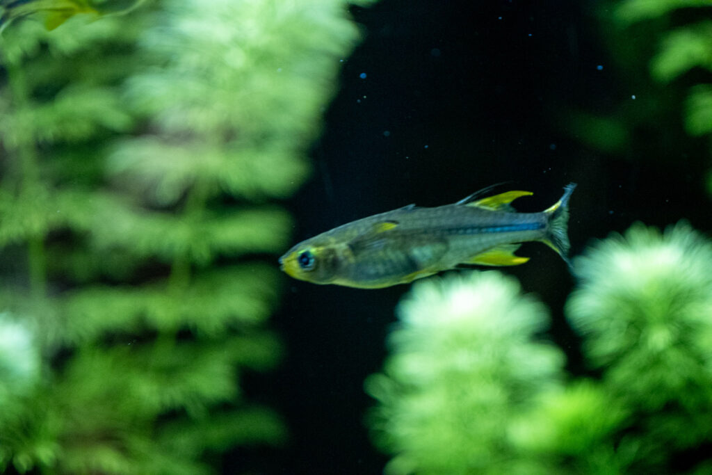 Aquazoo L&ouml;bbecke Museum D&uuml;sseldorf