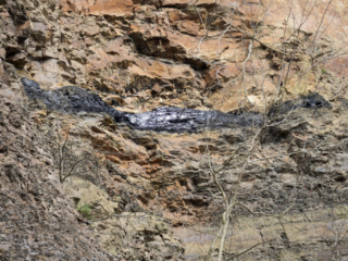 Zeche Nachtigall Zeche Nachtigall