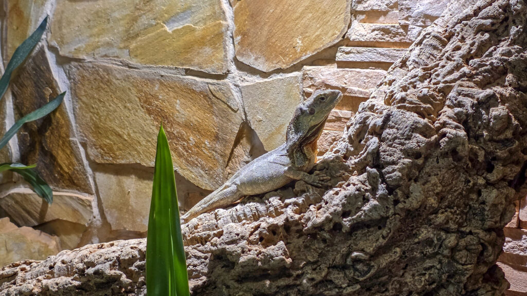 Br&uuml;ckenkopfpark J&uuml;lich