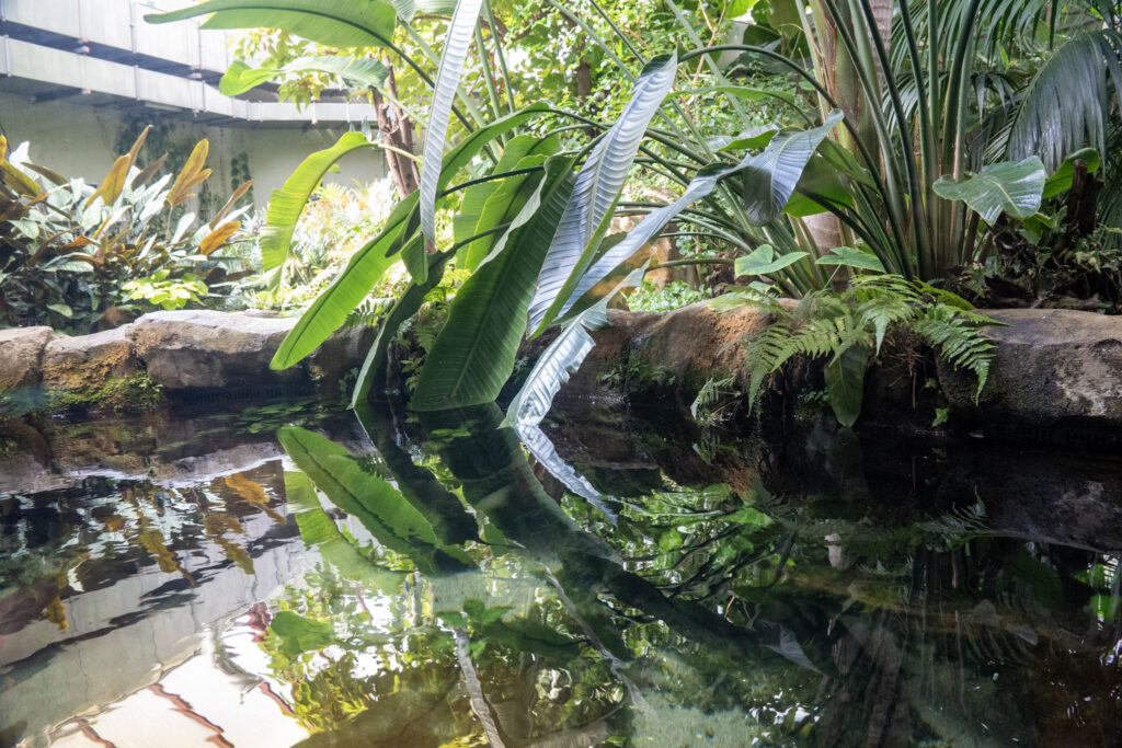 Aquazoo L&ouml;bbecke Museum D&uuml;sseldorf