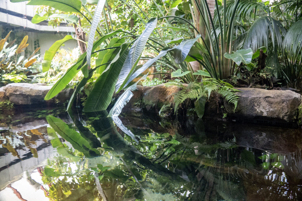 Aquazoo L&ouml;bbecke Museum D&uuml;sseldorf