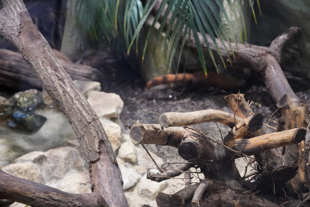 Alwetterzoo Münster Alwetterzoo Münster