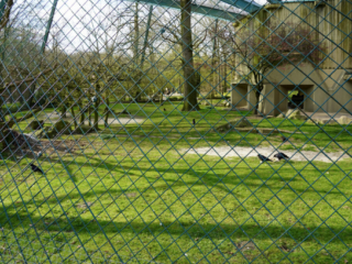Alwetterzoo Münster Alwetterzoo Münster