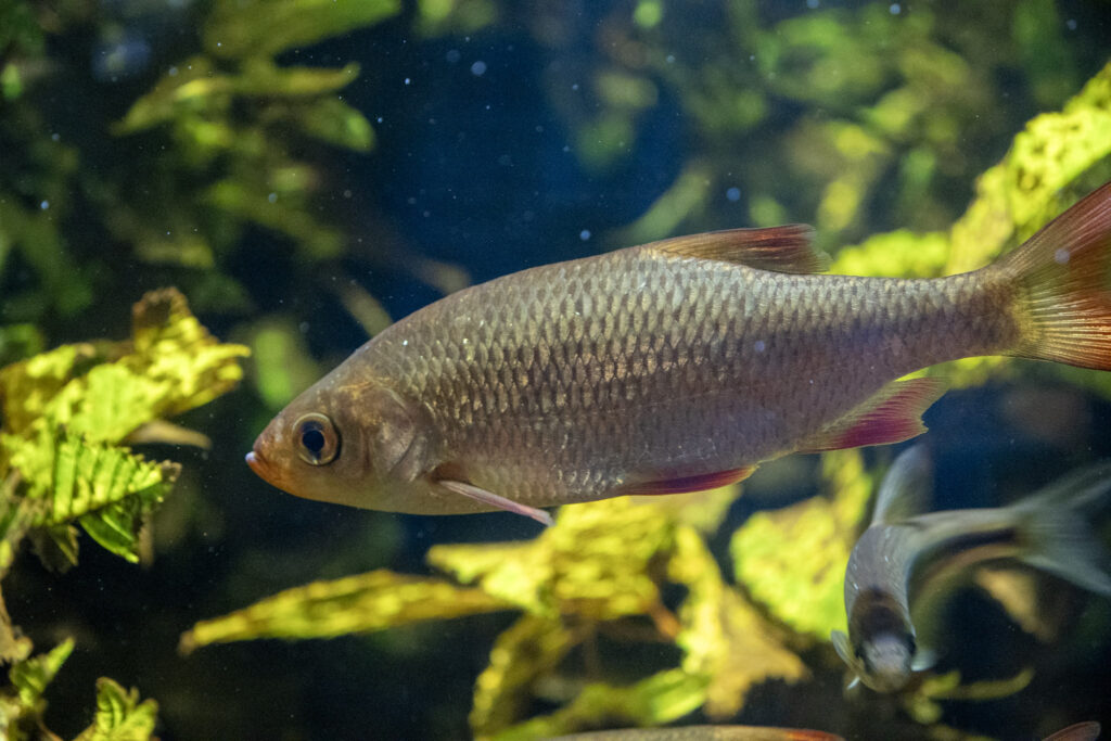 Aquazoo L&ouml;bbecke Museum D&uuml;sseldorf