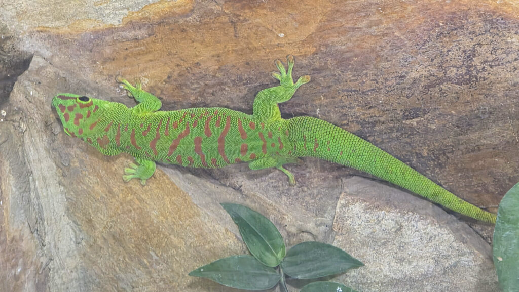 Br&uuml;ckenkopfpark J&uuml;lich