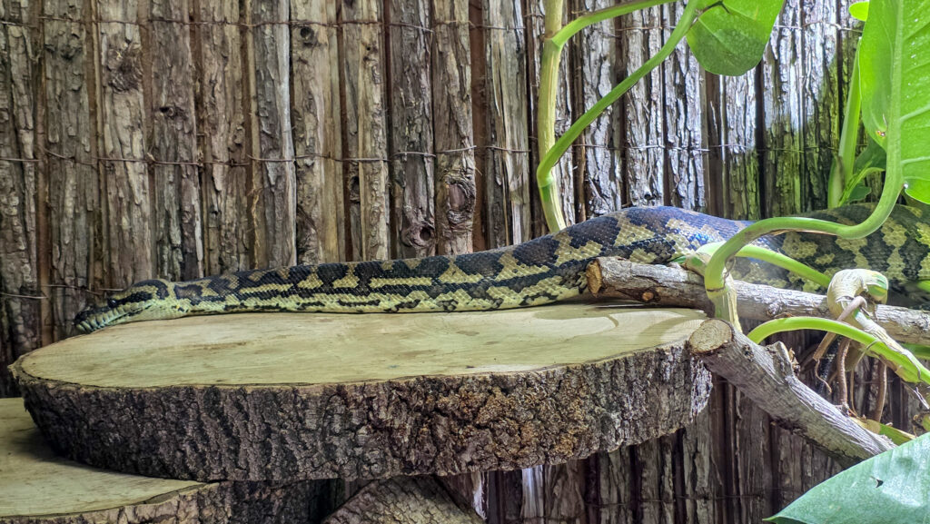 Br&uuml;ckenkopfpark J&uuml;lich