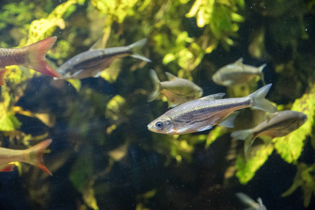 Aquazoo L&ouml;bbecke Museum D&uuml;sseldorf