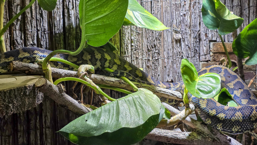 Br&uuml;ckenkopfpark J&uuml;lich