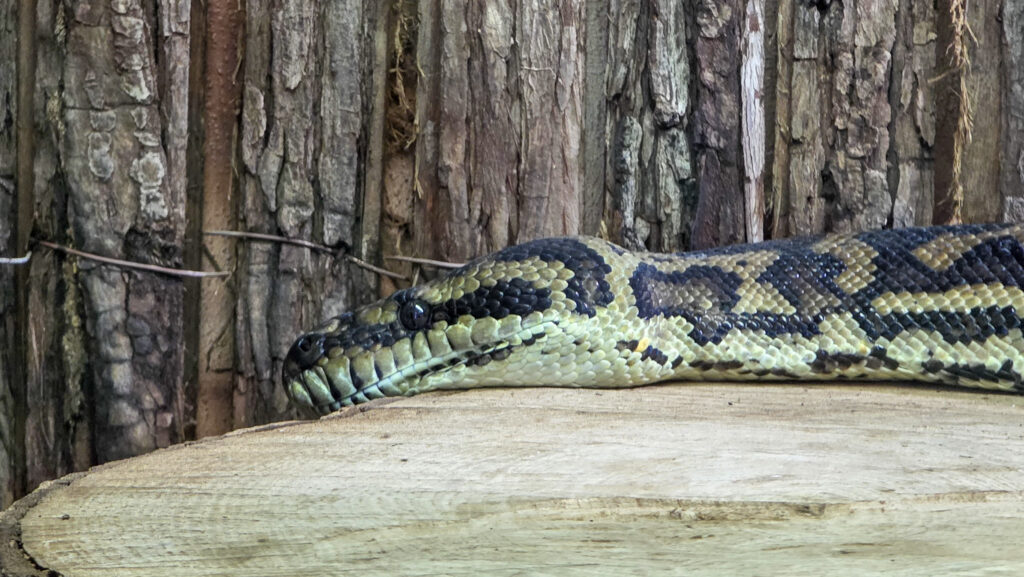 Br&uuml;ckenkopfpark J&uuml;lich