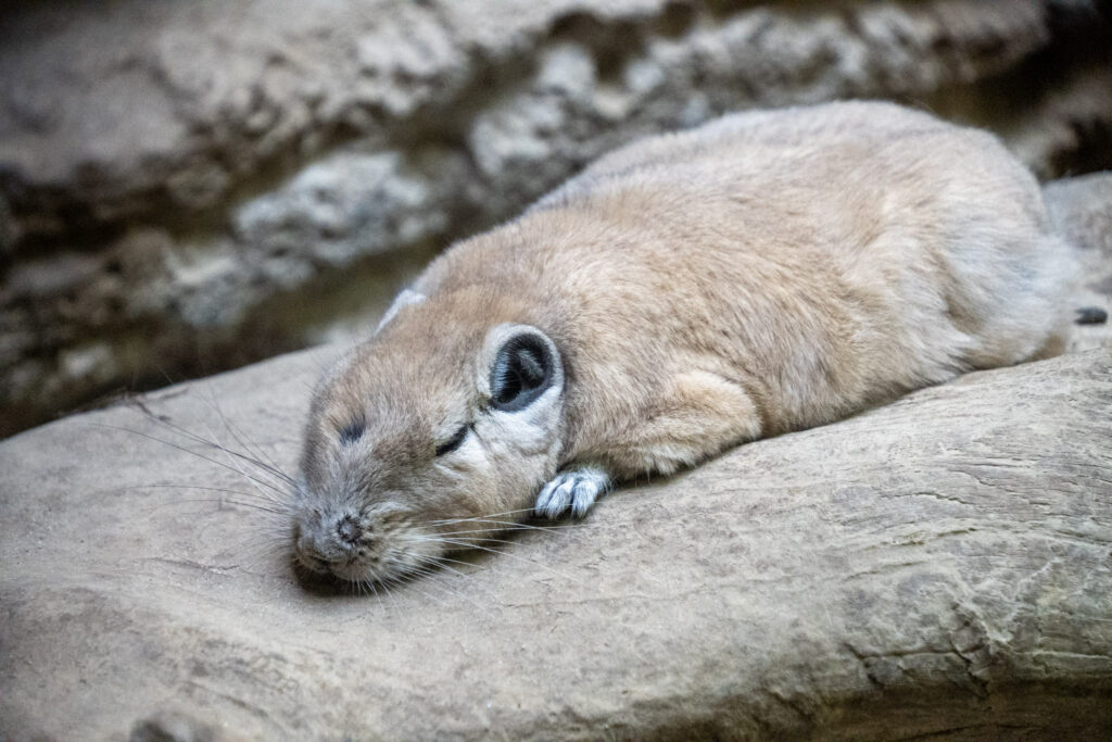Aquazoo L&ouml;bbecke Museum D&uuml;sseldorf