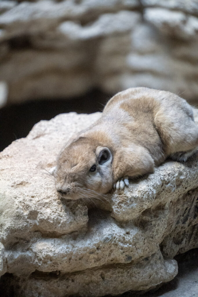 Aquazoo L&ouml;bbecke Museum D&uuml;sseldorf