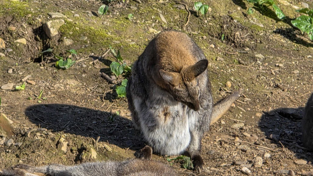 Br&uuml;ckenkopfpark J&uuml;lich