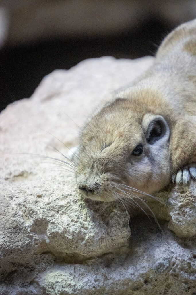 Aquazoo L&ouml;bbecke Museum D&uuml;sseldorf