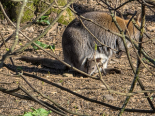 Br&uuml;ckenkopfpark J&uuml;lich