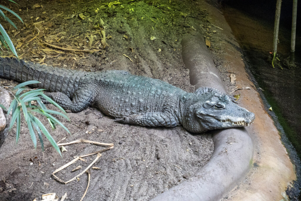 Aquazoo L&ouml;bbecke Museum D&uuml;sseldorf