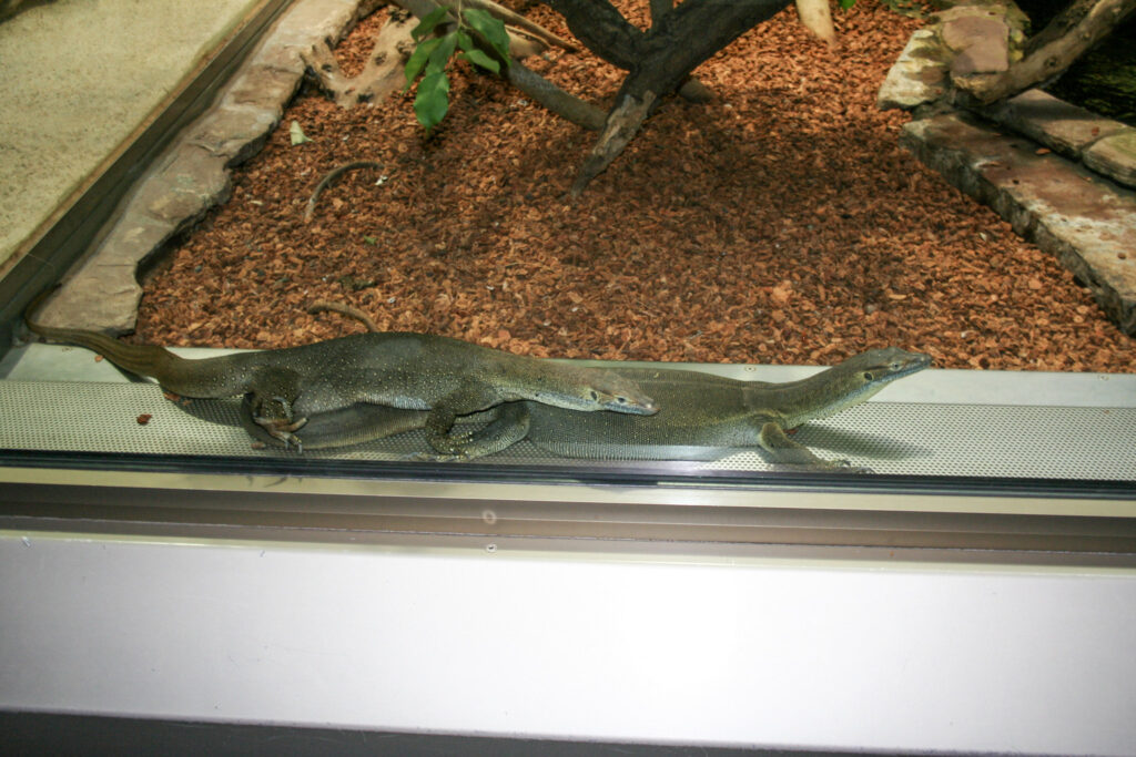 Berliner Zoo