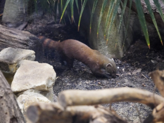 Alwetterzoo Münster Alwetterzoo Münster
