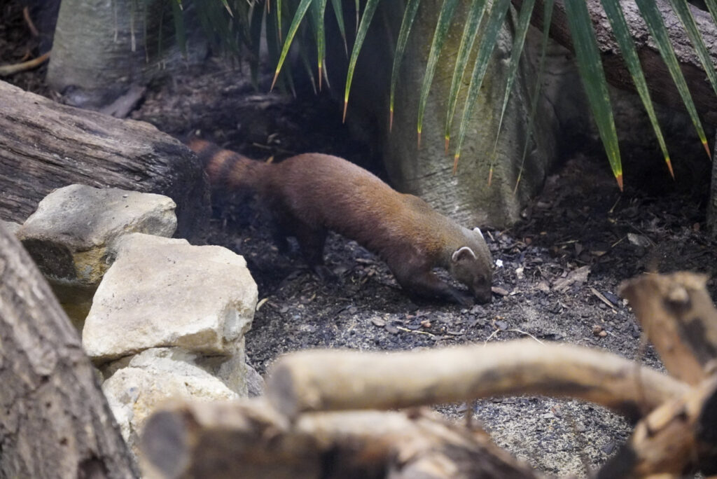 Alwetterzoo Münster Alwetterzoo Münster