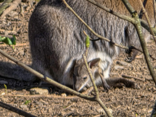 Br&uuml;ckenkopfpark J&uuml;lich