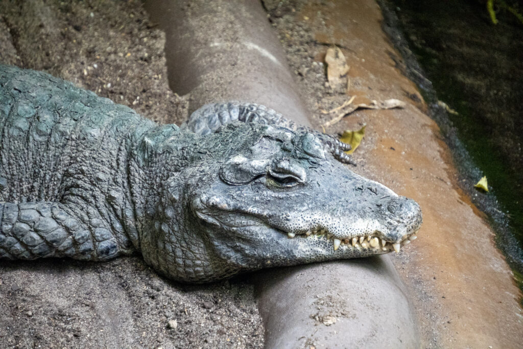 Aquazoo L&ouml;bbecke Museum D&uuml;sseldorf
